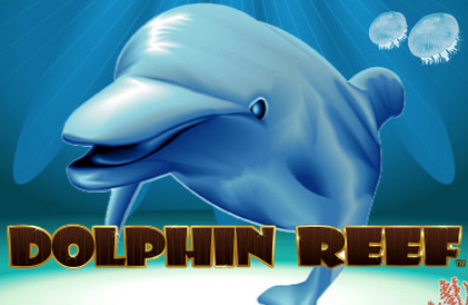 Dolphin Reef