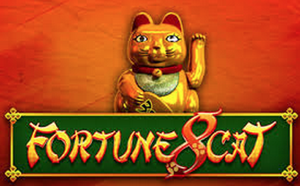 Fortune 8 Cat