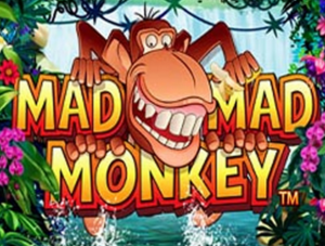 Mad Mad Monkey