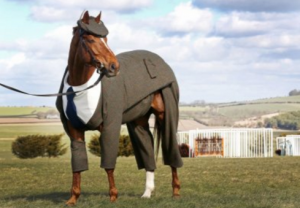William Hill Looking For Creative Agency For Ad Campaign