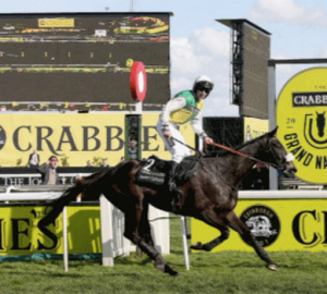 Latest Grand National Tips And Odds