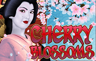 Cherry Blossoms slot Amaya