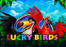 Lucky Birds slot Playson