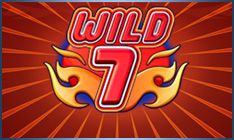 Wild 7