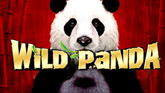 Wild Panda