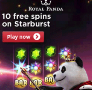 Royal Panda Gets In Shape For Summer 1