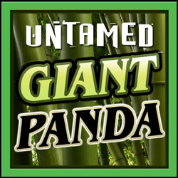 Untamed Giant Panda slot Microgaming
