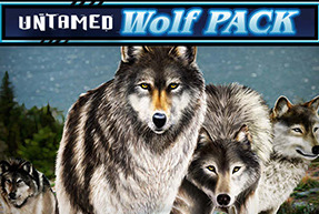 Untamed Wolf Pack slot Microgaming