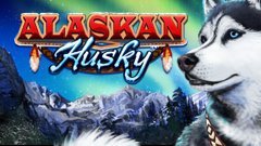 Alaskan Husky slot NYX Interactive