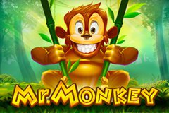 mr-monkey
