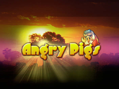 angry-pigs