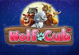 wolfcub