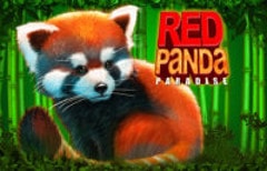 red-panda-paradise
