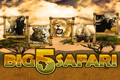 Big 5 Safari