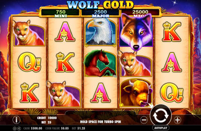 wolf-gold1