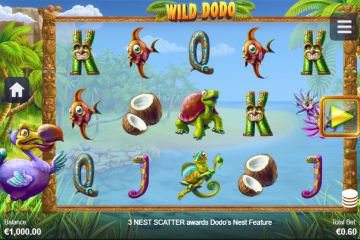 Wild-Dodo1