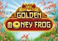 Golden Money Frog