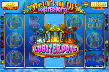 lobsterpotty1