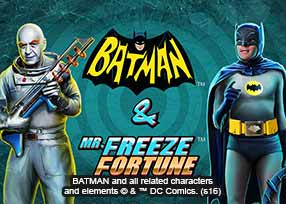 Batman & Mr Freeze Fortune