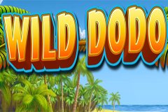 wild-dodo