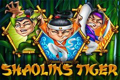 shaolins-tiger