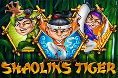 Shaolin’s Tiger