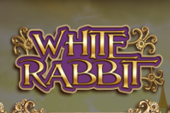 White Rabbit