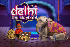 delhi-the-elephant