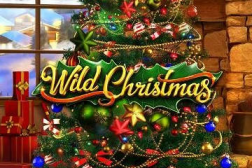 wildchristmas