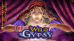 wild-gypsy