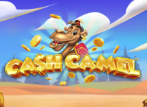 Cash Camel