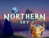 northern sky