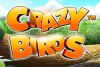 Crazy Birds