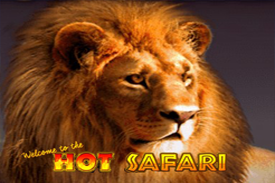 hot-safari