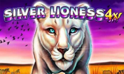 Silver Lioness 4x