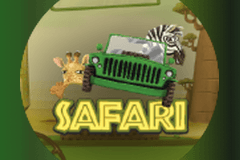 safari