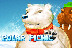polar-picnic