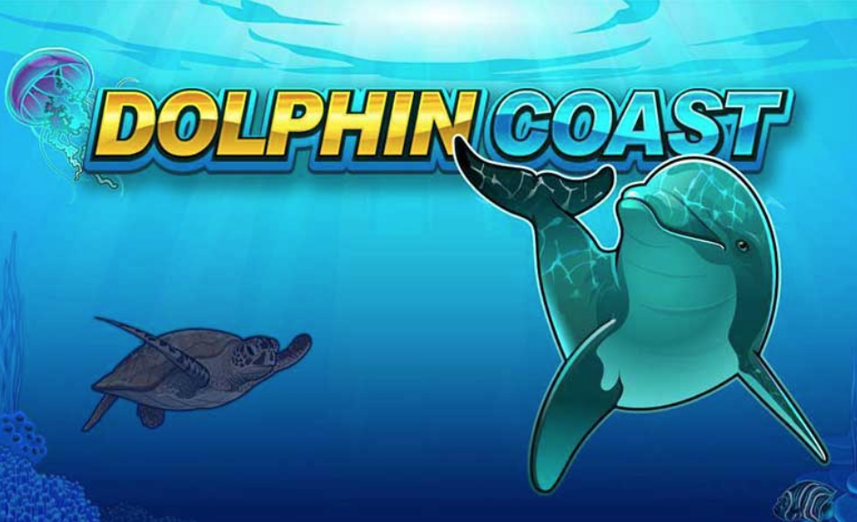Dolphin Coast Microgaming