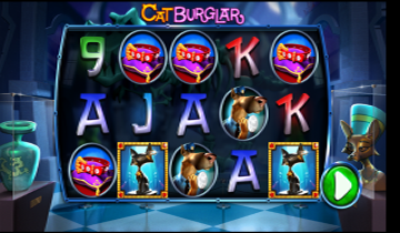 catburglar1