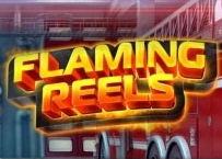 flamingreels