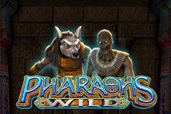 pharaohs-wild