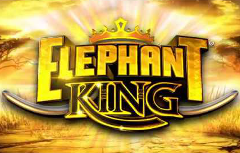 elephant-king