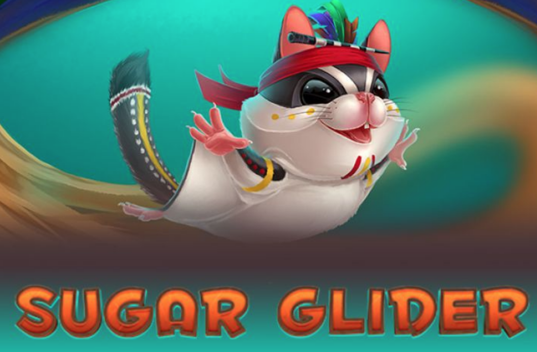 Sugar Glider