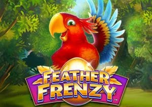 Feather Frenzy