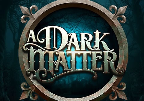 A Dark Matter