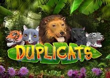 Duplicats