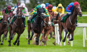 British Horse Racing Prepare For Racing behind Closed Doors