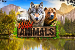 Wild Animals