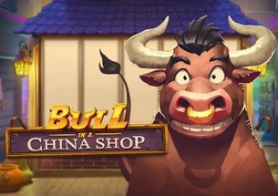 Bull in a China Shop Play n Go