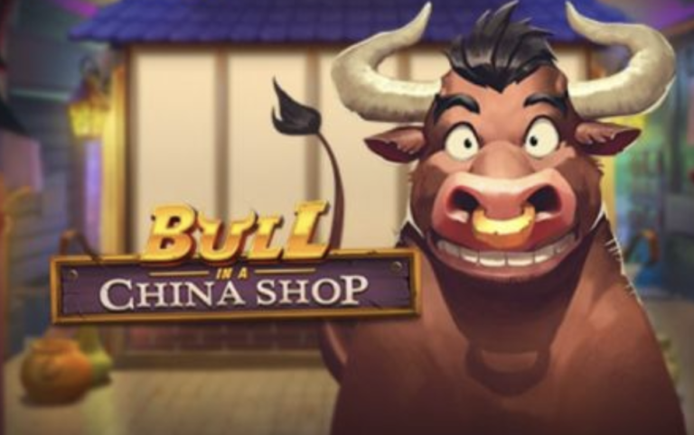 Bull in a China Shop Play N Go